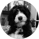 Jerry Sugerman profile picture